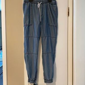 ARITZIA Community chambray joggers